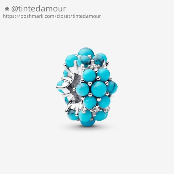 Pandora Turquoise-colored Ocean Charm|Pendant - Picture 1 of 5
